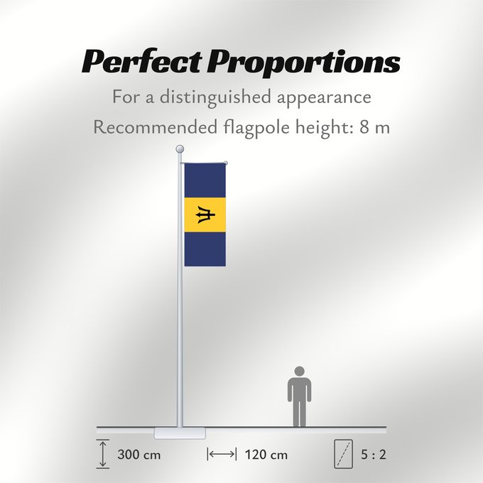 Flag Proportions: Barbados Barbade Barbado Barbadoksen Ala Barbadosê Флаг Барбадоса Barbadosa