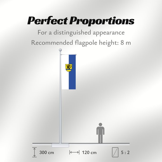 Flag Proportions: Fridolfing (Chiemgau)