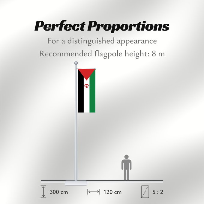 Flag Proportions: Sahrawi Arab Democratic Republic Western Sahara République arabe sahraouie démocratique República Árabe Saharaui Democrática Demokratischen Arabischen Republik Sahara Repubblica Democratica Araba Sahrawi Arabische Democratische Republiek Sahara República