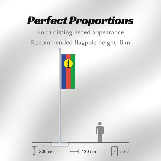 Flag Proportions: FLNKS Kanak and Socialist National Liberation Front political party Front de libération nationale kanak et socialiste Colores Pantone http //www Neukaledonien Nuova Caledonia Front d Alliberament Nacional Canac Socialista