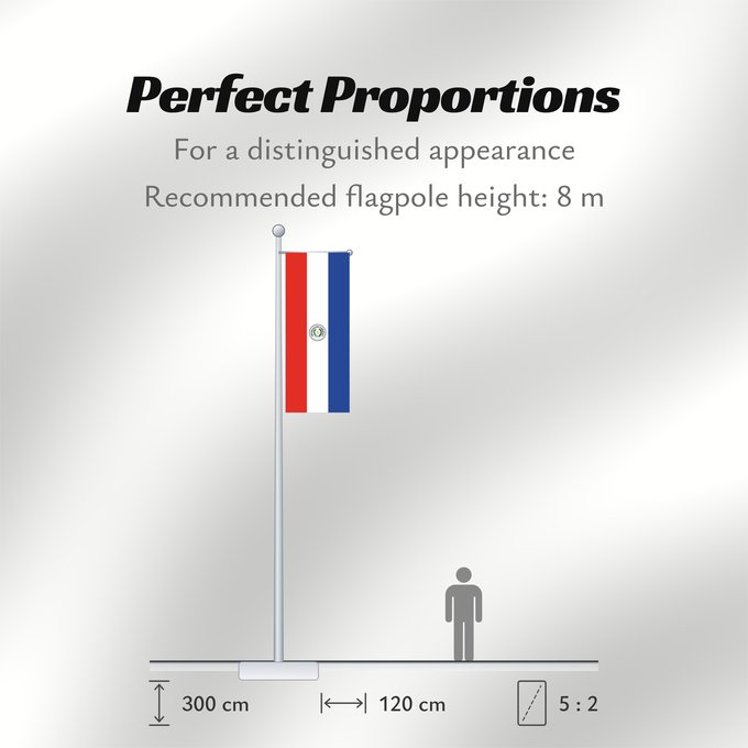 Flag Proportions: Paraguay Paraguay obverse علم باراغواي پرچم پاراگوئه روی پرچم Флаг Парагвая