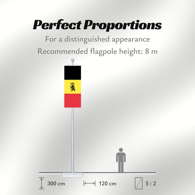 Flag Proportions: Belgium civil Belgium Belgique Bélgica Belgien Belgio