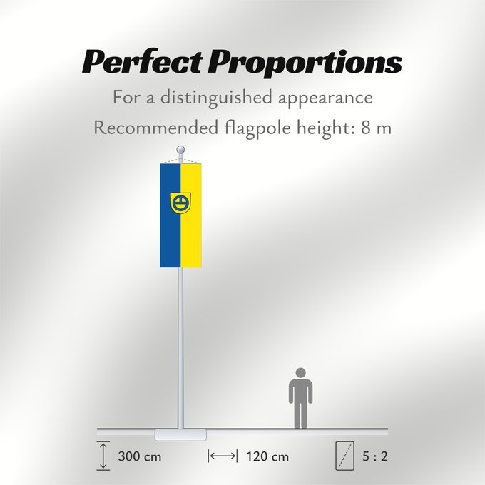 Flag Proportions: Leinfelden-Echterdingen (Region Stuttgart)