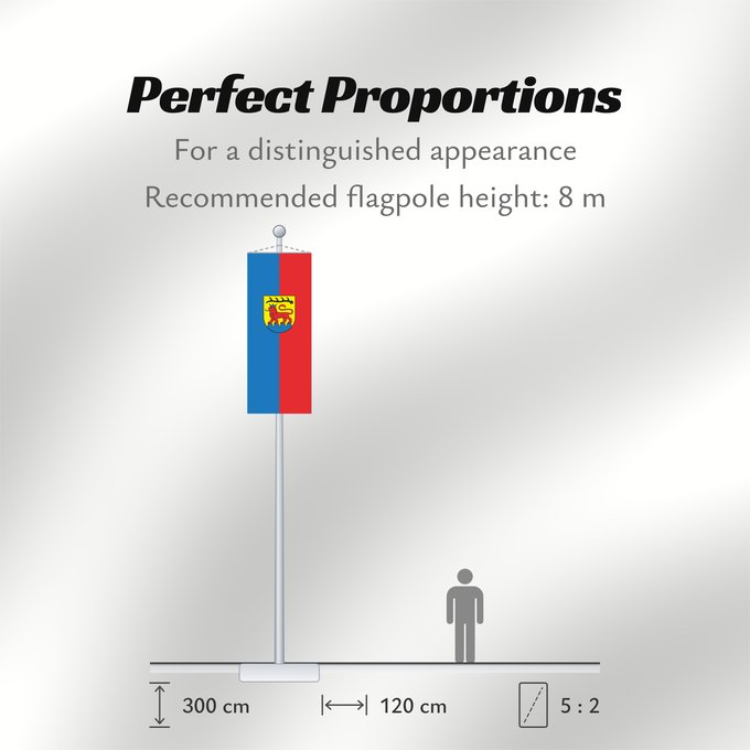 Flag Proportions: Vaihingen an der Enz (Region Stuttgart)
