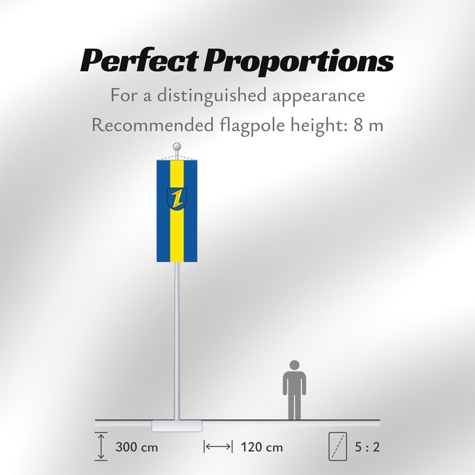 Flag Proportions: Wolfach (Mittlerer Schwarzwald)