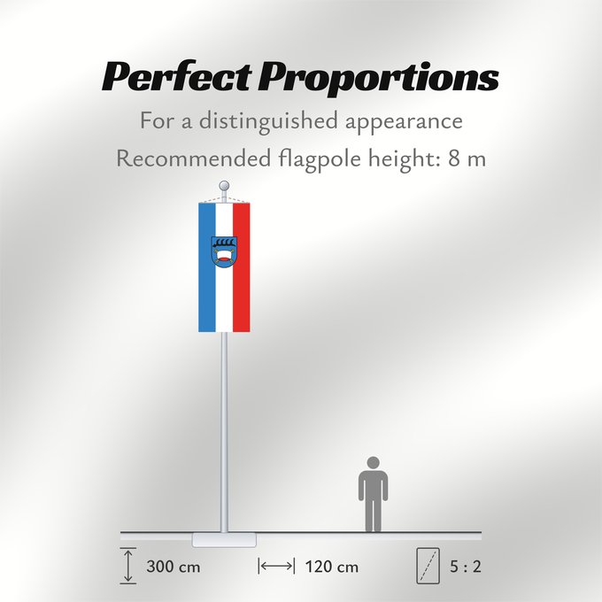 Flag Proportions: Pfullingen (Schwäbische Alb)