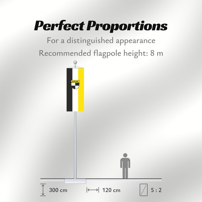 Flag Proportions: Balingen (Schwäbische Alb)