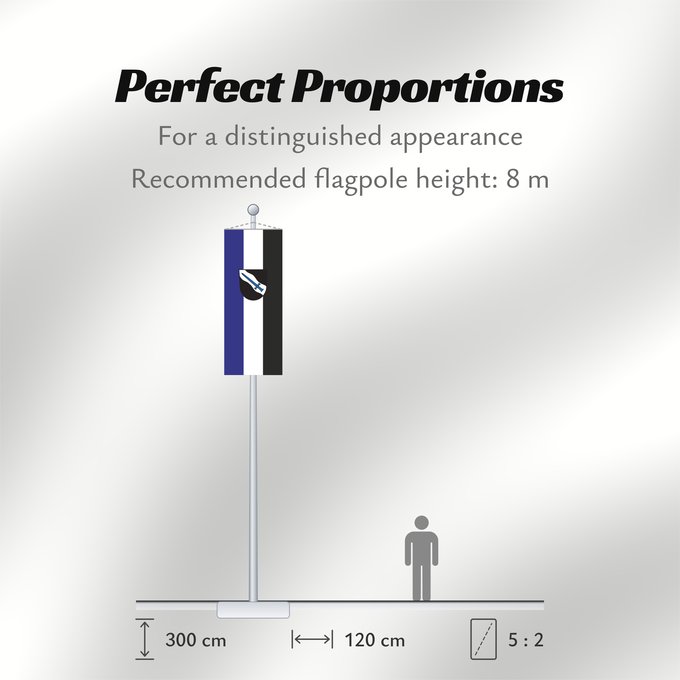 Flag Proportions: Finning (Ammersee-Lech)