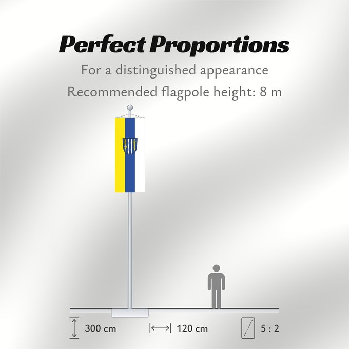 Flag Proportions: Aresing (Oberbayerns Städte)