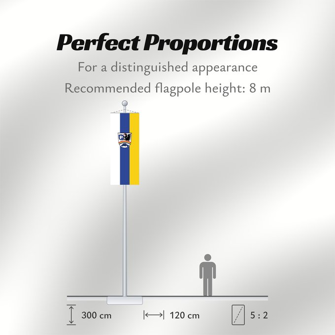 Flag Proportions: Weichering (Oberbayerns Städte)