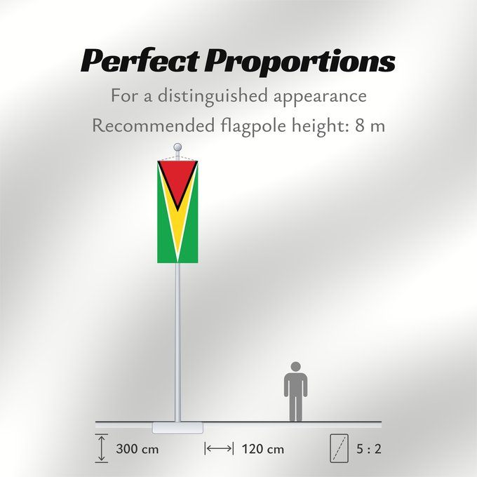 Flag Proportions: Guyana Guiana Wayana wiphala Gujano Gwayana Wayana unancha Флаг Гайаны Guyanas Quốc kỳ Guyana