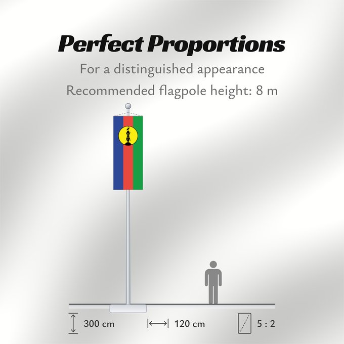 Flag Proportions: FLNKS Kanak and Socialist National Liberation Front political party Front de libération nationale kanak et socialiste Colores Pantone http //www Neukaledonien Nuova Caledonia Front d Alliberament Nacional Canac Socialista