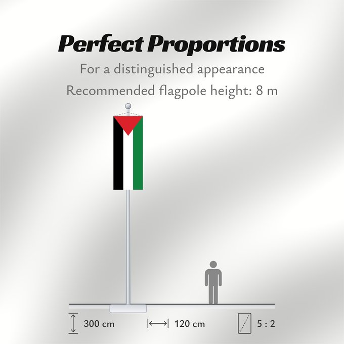 Flag Proportions: Palestine State of Palestine L’État de Palestine Estado de Palestina Palästina Palestina علم فلسطين ফিলিস্তিনের পতাকা Palestino Dari Negara Palestina Флаг Государства Палестина