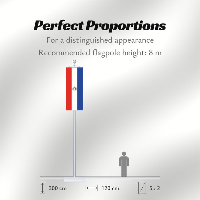 Flag Proportions: Paraguay Paraguay obverse علم باراغواي پرچم پاراگوئه روی پرچم Флаг Парагвая