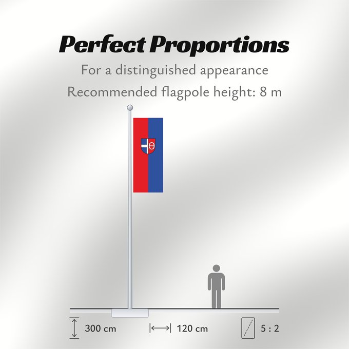 Flag Proportions: Malsch (Nördliches Baden-Württemberg)