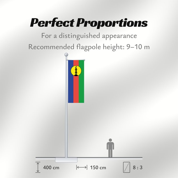 Flag Proportions: FLNKS Kanak and Socialist National Liberation Front political party Front de libération nationale kanak et socialiste Colores Pantone http //www Neukaledonien Nuova Caledonia Front d Alliberament Nacional Canac Socialista