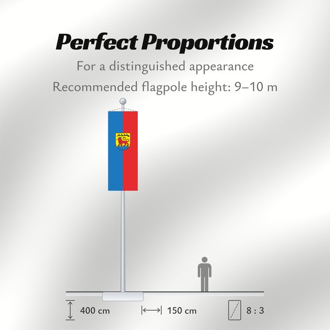 Flag Proportions: Vaihingen an der Enz (Region Stuttgart)