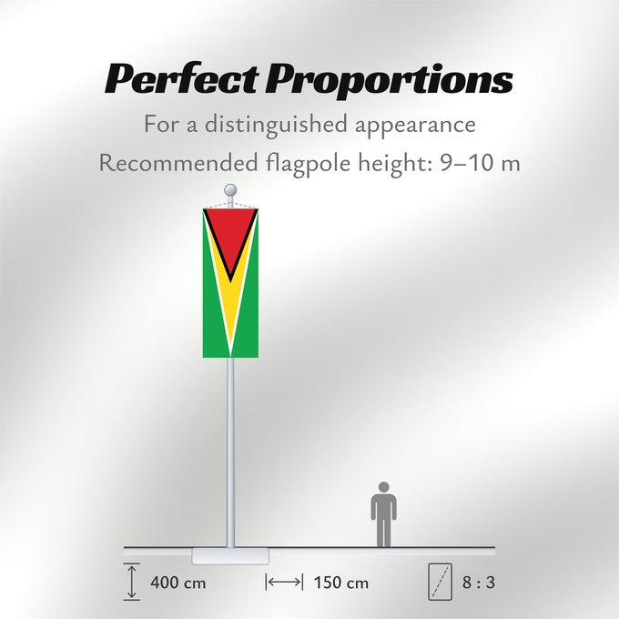 Flag Proportions: Guyana Guiana Wayana wiphala Gujano Gwayana Wayana unancha Флаг Гайаны Guyanas Quốc kỳ Guyana