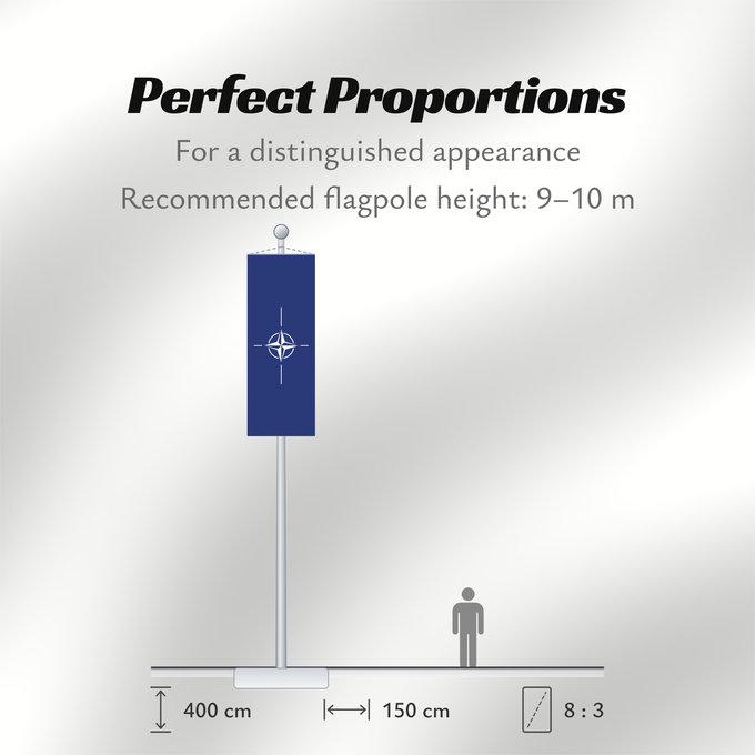 Flag Proportions: NATO North Atlantic Treaty Organization NATO L Organisation du traité de l Atlantique nord OTAN Organización del Tratado del Atlántico Norte OTAN Organizazione/ North Atlantic Starts Treaty Dell Organizzazione del Trattato dell Atlantico del Nord NATO