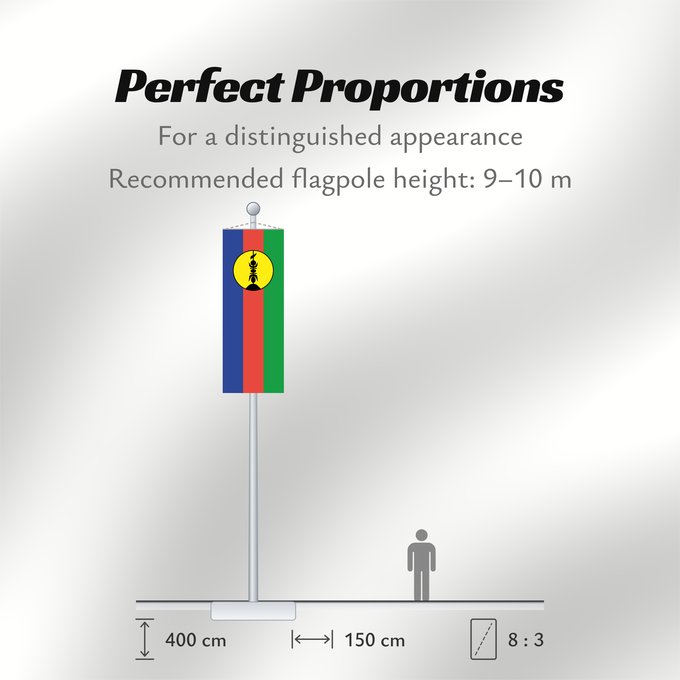 Flag Proportions: FLNKS Kanak and Socialist National Liberation Front political party Front de libération nationale kanak et socialiste Colores Pantone http //www Neukaledonien Nuova Caledonia Front d Alliberament Nacional Canac Socialista