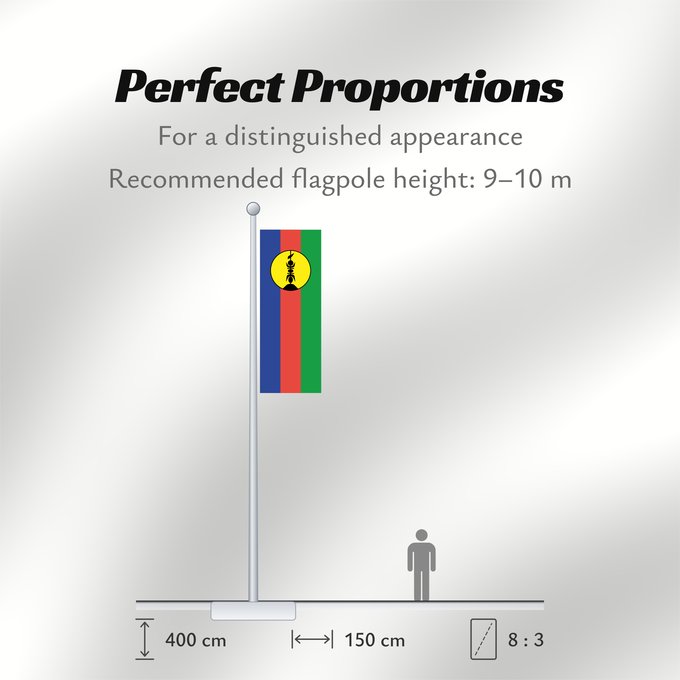 Flag Proportions: FLNKS Kanak and Socialist National Liberation Front political party Front de libération nationale kanak et socialiste Colores Pantone http //www Neukaledonien Nuova Caledonia Front d Alliberament Nacional Canac Socialista
