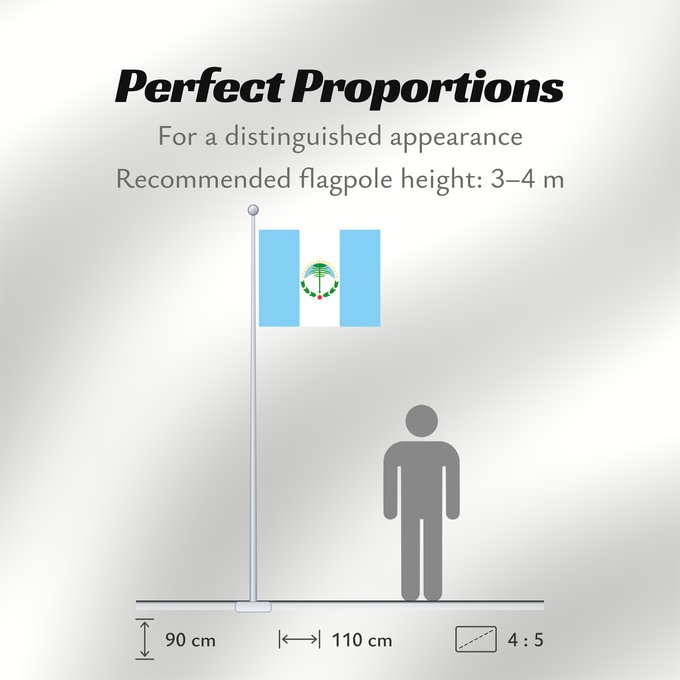 Flag Proportions: Neuquén