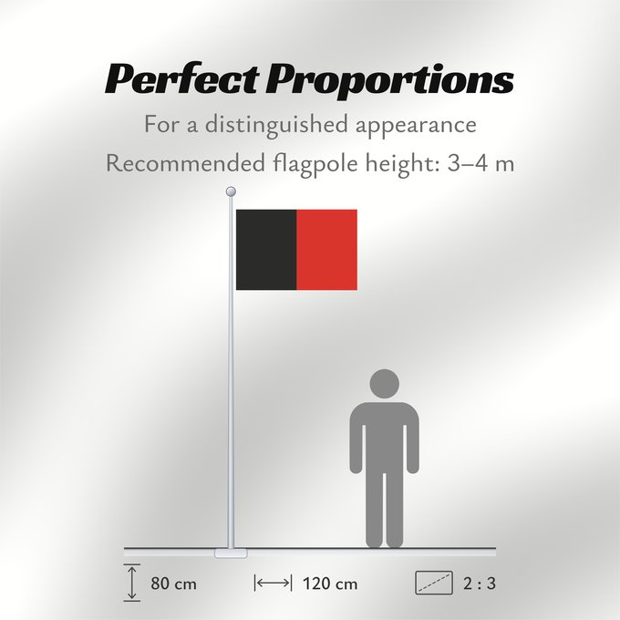 Flag Proportions: Namur Province Namur Shows the flag of the province of Namur in Belgium