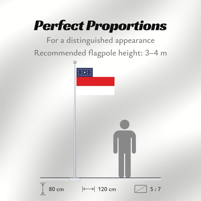 Flag Proportions: Amazonas Amazonas, state of Brazil L’Amazonas, état du Brésil Amazonas, Brasil Amazonas, stato del Brasile Estado do Amazonas, Brasil علم أمازوناس، دولة البرازيل Σημαία της Αμαζόνας پرچم آمازوناس دولت برزیل דגל אמסונס, מדינת ברזיל अमेज़न Banyè fanmi Amazo