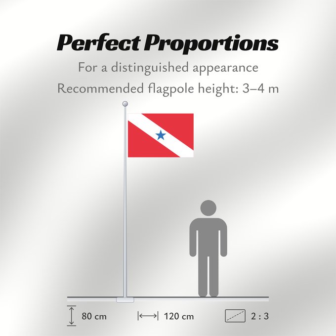 Flag Proportions: Pará