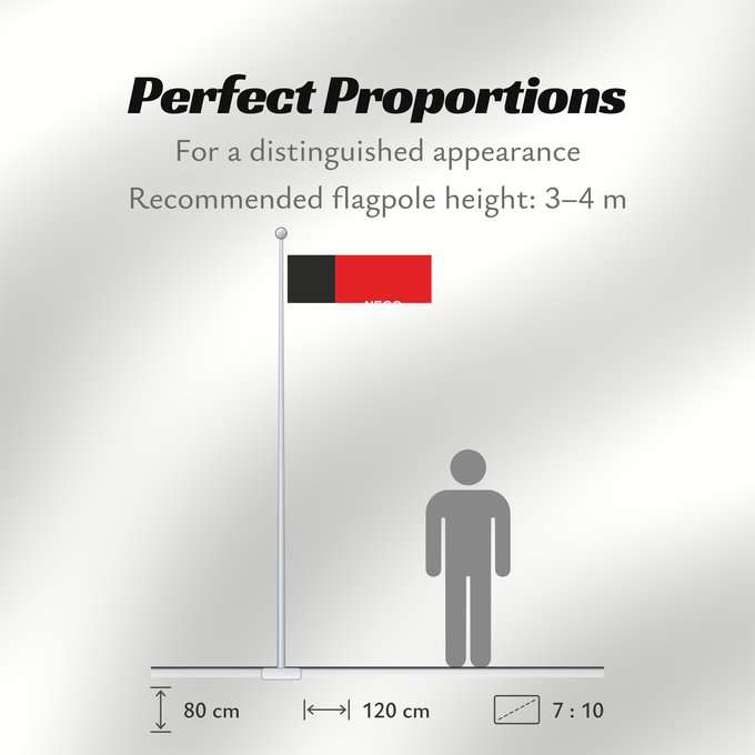 Flag Proportions: Paraíba
