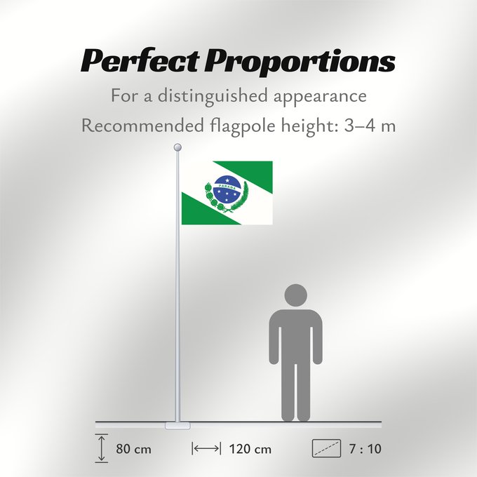 Flag Proportions: Paraná