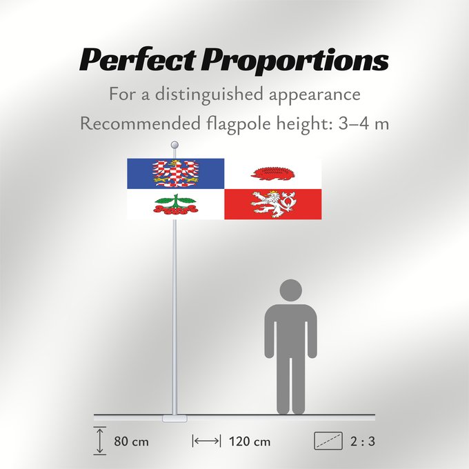Flag Proportions: Vysocina Region	Vysočina Region	Région de Vysočina	Región de Vysočina	Region Vysočina