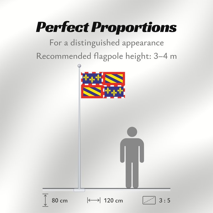 Flag Proportions: Bourgogne Region of Burgundy Région Bourgogne Región Borgoña Burgund Borgogna Banniel Bourgogn Burgundiae Borgonha