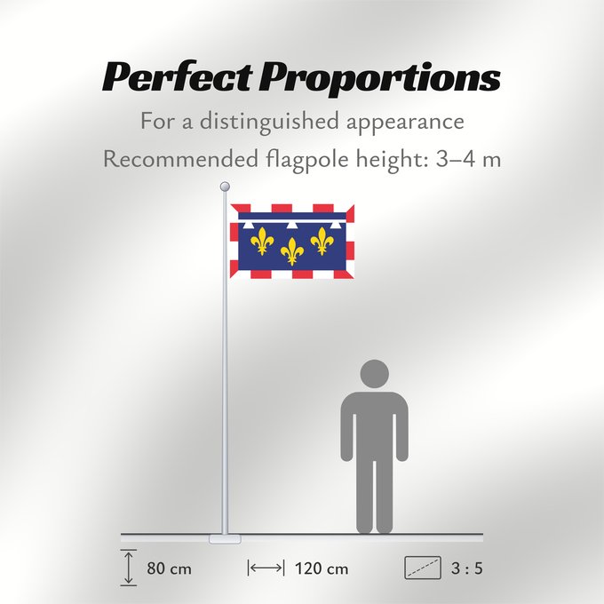 Flag Proportions: Centre-Val de Loire Unofficial flag of Centre region in France Non-officiel de la région Centre-Val de Loire en France Centro Centre Banniel anofisiel Kreiz-Traoñ al Liger e Frañs
