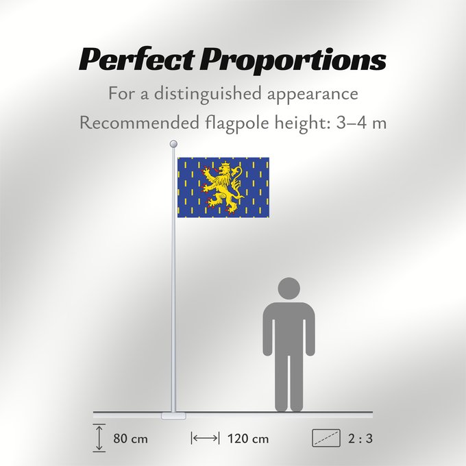 Flag Proportions: Franche-Comté