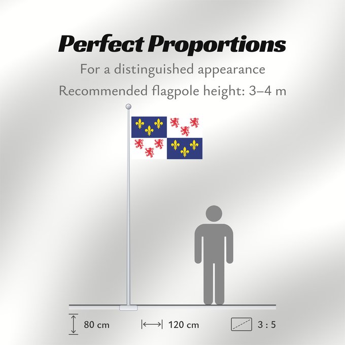 Flag Proportions: Picardie Region Picardie in France Région Picardie en France Picardo Picard