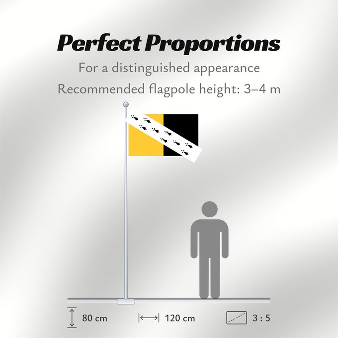 Flag Proportions: Norfolk