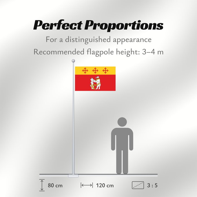 Flag Proportions: Warwickshire