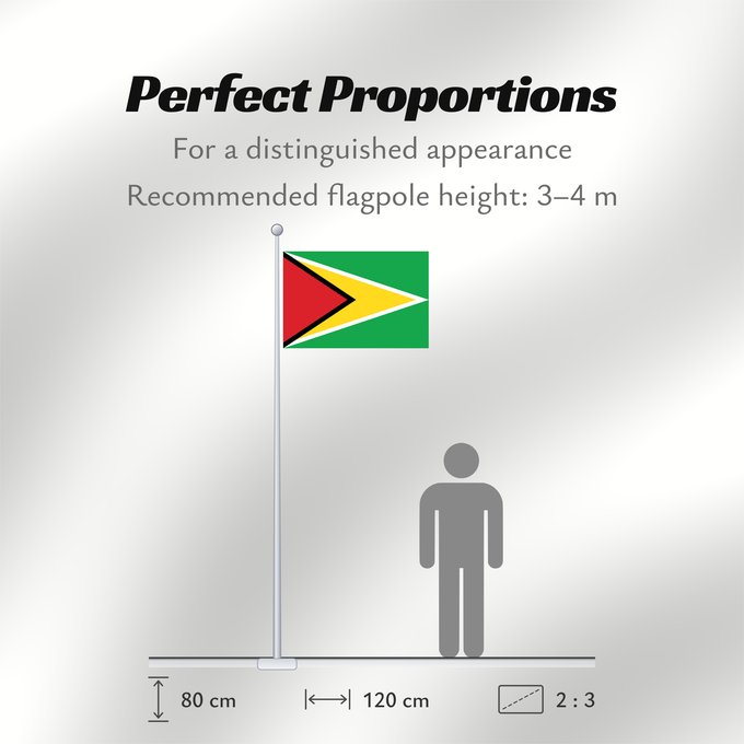 Flag Proportions: Guyana Guiana Wayana wiphala Gujano Gwayana Wayana unancha Флаг Гайаны Guyanas Quốc kỳ Guyana