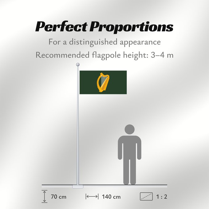 Flag Proportions: Leinster W Leinster
