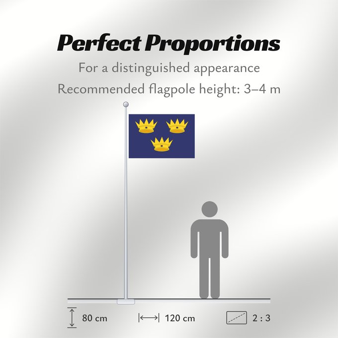 Flag Proportions: Munster