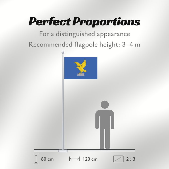 Flag Proportions: Friuli-Venezia Giulia