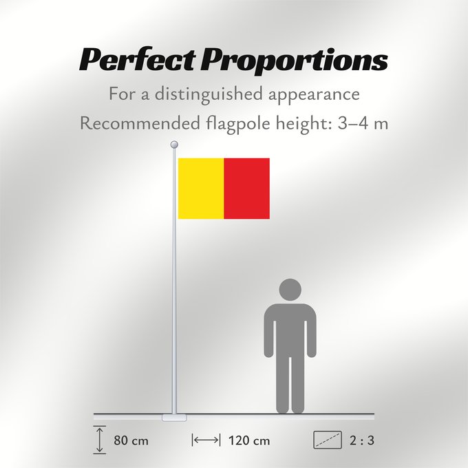 Flag Proportions: Naples Province of Naples Province de Naples Provincia de Naples Provinz Naples Napoli