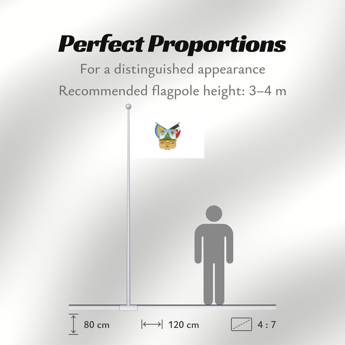 Flag Proportions: Hidalgo hidalgo y fidalgo