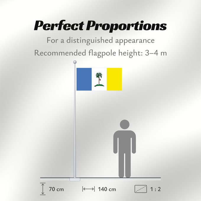 Flag Proportions: Pulau Pinang