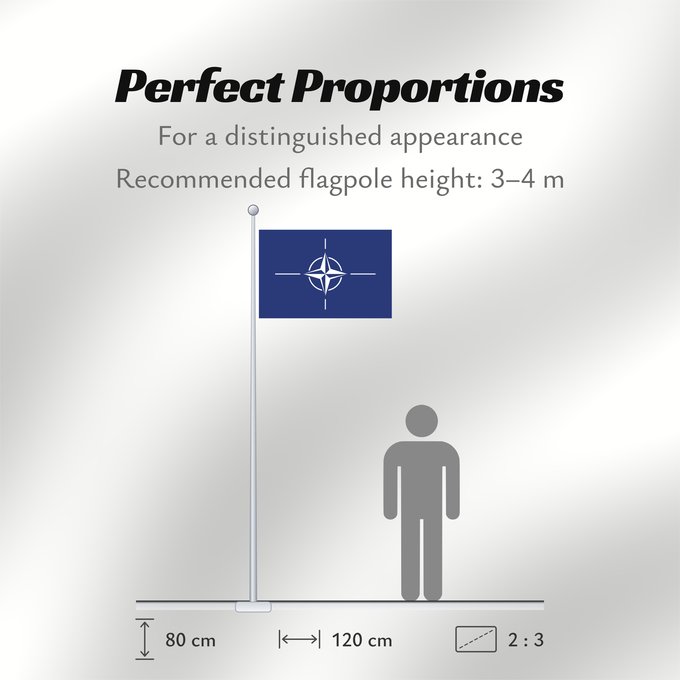 Flag Proportions: NATO	North Atlantic Treaty Organization  NATO	L Organisation du traité de l Atlantique nord  OTAN	Organización del Tratado del Atlántico Norte  OTAN	Organizazione/ North Atlantic Starts Treaty	Dell Organizzazione del Trattato dell Atlantico del Nord  NATO