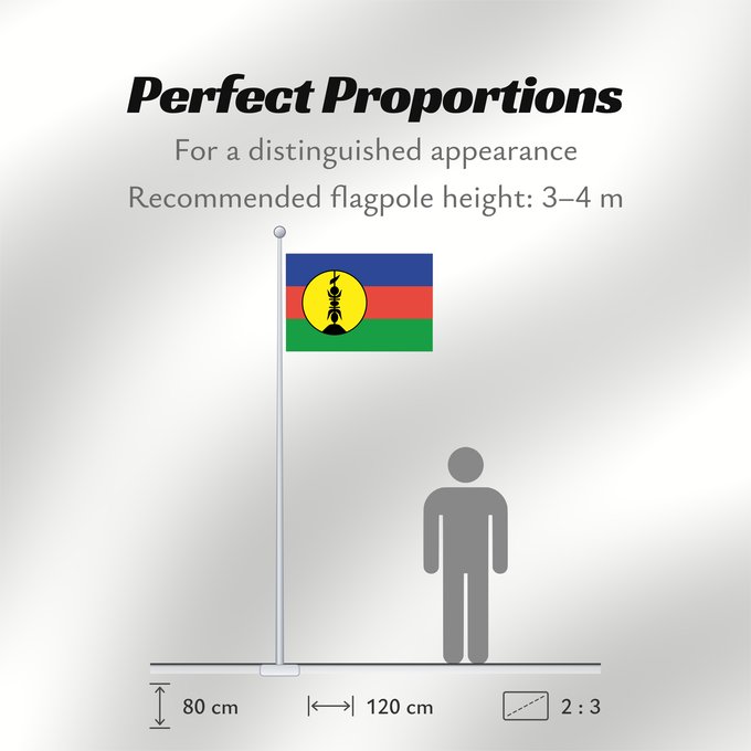 Flag Proportions: FLNKS Kanak and Socialist National Liberation Front political party Front de libération nationale kanak et socialiste Colores Pantone http //www Neukaledonien Nuova Caledonia Front d Alliberament Nacional Canac Socialista
