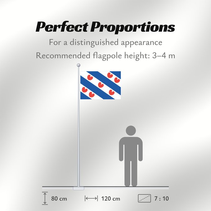 Flag Proportions: Frisian Dutch province of Friesland Frise Frisia Friesland De Friese vlag en het wapen hebben een gemeenschappelijke herkomst
