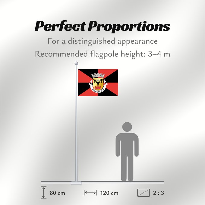 Flag Proportions: Beja