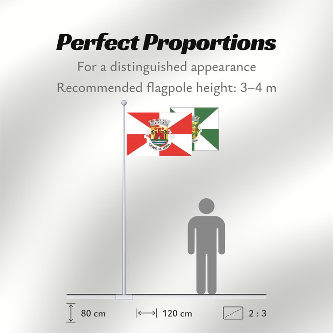 Flag Proportions: Leiria